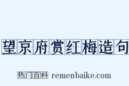 望京府赏红梅造句是什么意思的图片